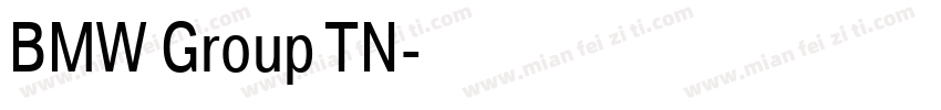BMW Group TN字体转换